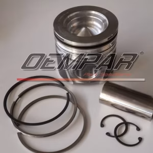 8094853 - 87317256 PİSTON