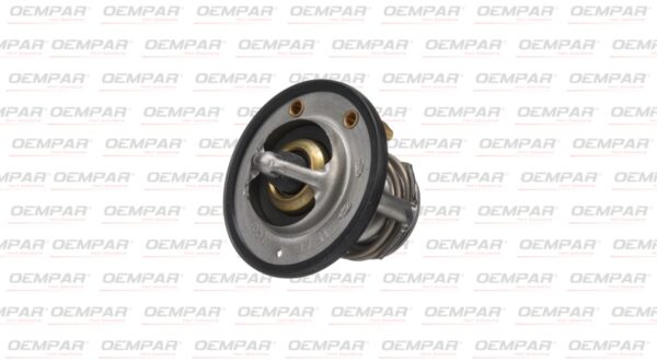 87376872 TERMOSTAT